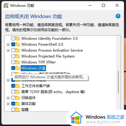 win11沙盒打不开怎么办_win11沙盒无法启动如何解决