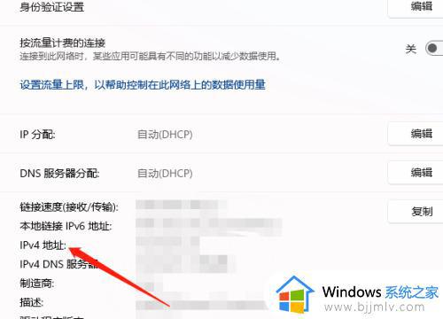 win11的ip地址怎么看_windows11电脑ip地址怎么查