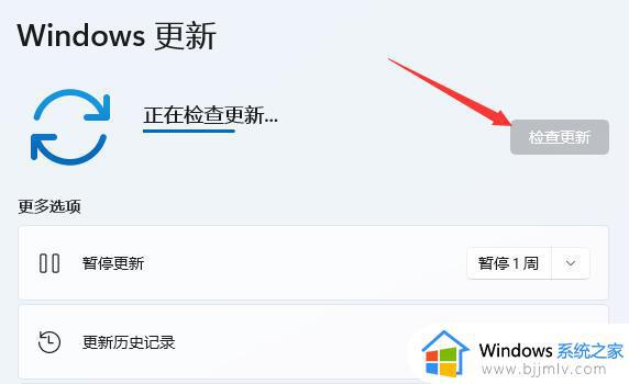 windows11驱动程序更新失败怎么办_windows11更新驱动失败如何解决