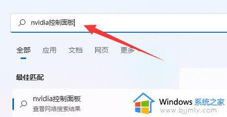 win11的nvidia没有显示设置怎么办_win11未发现nvidia控制面板设置如何解决