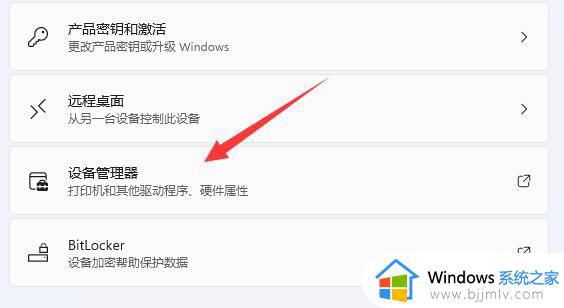 win11怎么看电脑的显卡型号_win11系统如何查看显卡信息