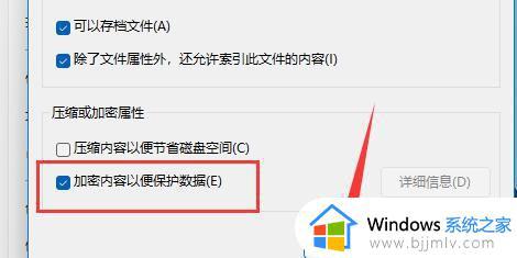 windows11文件怎么加密_windows11文件加密的操作方法