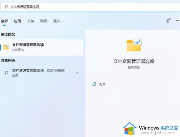 win11修改文件类型设置方法_win11怎么更改文件类型