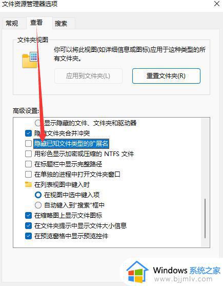 win11修改文件类型设置方法_win11怎么更改文件类型