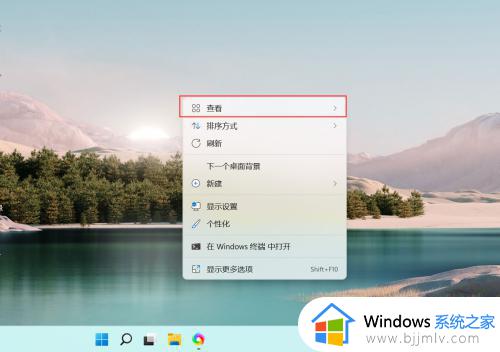 windows11怎么改图标大小_windows11如何调整桌面图标大小