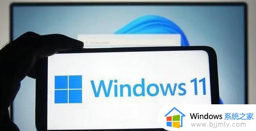 windows11经常死机怎么办_win11频繁死机的解决教程