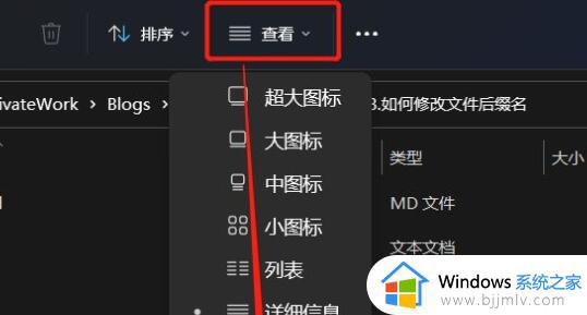 windows11怎么修改文件后缀_windows11如何编辑文件后缀