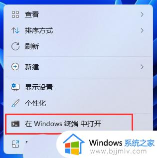 windows11怎么看电脑型号_windows11电脑型号如何查看