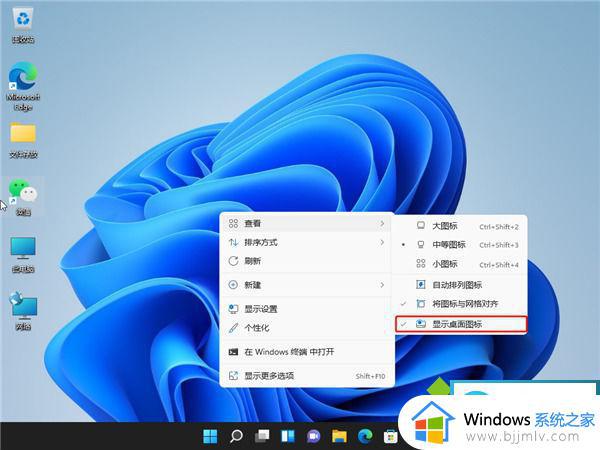 windows11隐藏桌面图标怎么操作_windows11怎么隐藏桌面图标