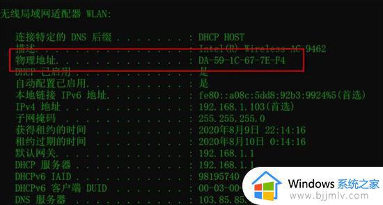 win10电脑查看mac地址命令是什么_win10系统如何查看mac 地址