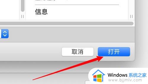 mac无法识别win10镜像怎么办_新版mac无法识别win10镜像如何处理