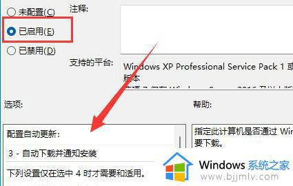 win11怎么设置自动更新_windows11打开自动更新方法