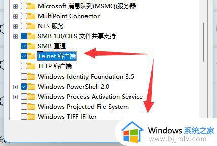 win11开启telnet功能怎么设置_win11系统开启telnet服务的方法