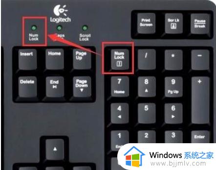 电脑键盘打不了字是怎么回事 电脑键盘打不了字按哪个键恢复