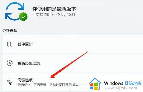 windows11无法加载驱动程序怎么办_windows11驱动程序加载失败如何处理