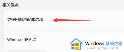 windows11无internet怎么办_windows11连接网络没有internet如何解决