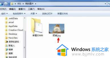 windows7文件扩展名怎么显示出来_windows7如何查看文件扩展名