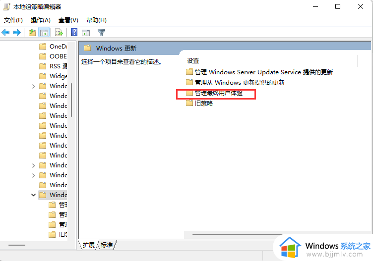 windows11怎么手动更新_windows11手动更新步骤