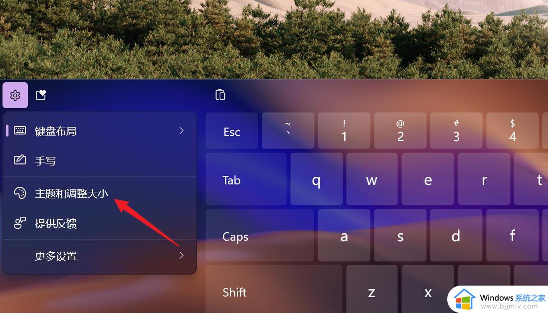 win11自带输入法怎么换皮肤_win11电脑更换主题怎么操作