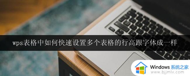 如何在wps表格中同时设置多个表格的行高和字体