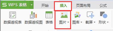 怎么把图片插入wps表格内 wps表格内如何插入图片